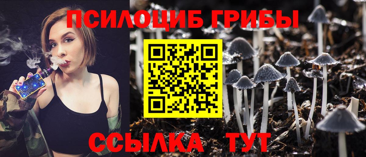 Псилоцибиновые грибы MAGIC MUSHROOMS Феодосия